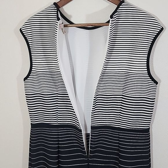 CB Established 1962 striped fit and flare dress - Picture 7 of 10